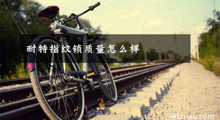 耐特指纹锁质量怎么样