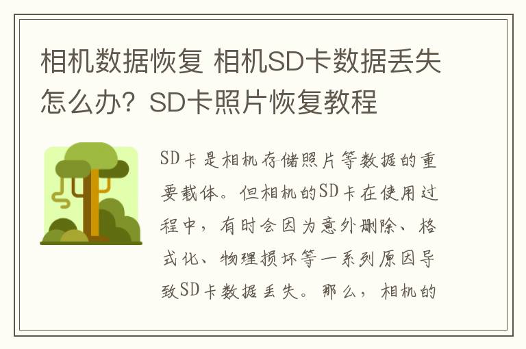 相机数据恢复 相机SD卡数据丢失怎么办？SD卡照片恢复教程