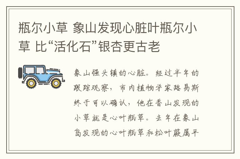 瓶尔小草 象山发现心脏叶瓶尔小草 比“活化石”银杏更古老