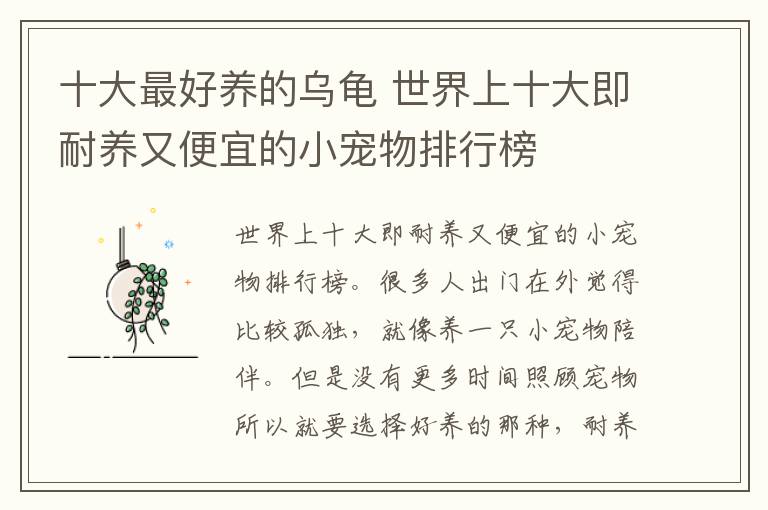 十大最好养的乌龟 世界上十大即耐养又便宜的小宠物排行榜