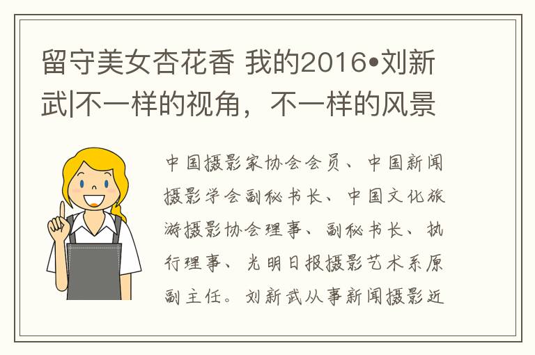 留守美女杏花香 我的2016•刘新武|不一样的视角,不一样的风景