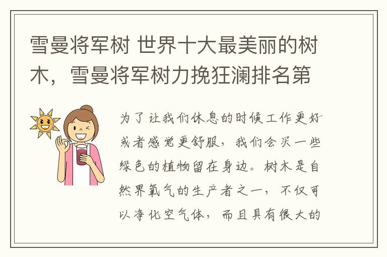 雪曼将军树 世界十大最美丽的树木,雪曼将军树力挽狂澜排名第一位!