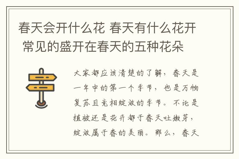 春天会开什么花 春天有什么花开 常见的盛开在春天的五种花朵