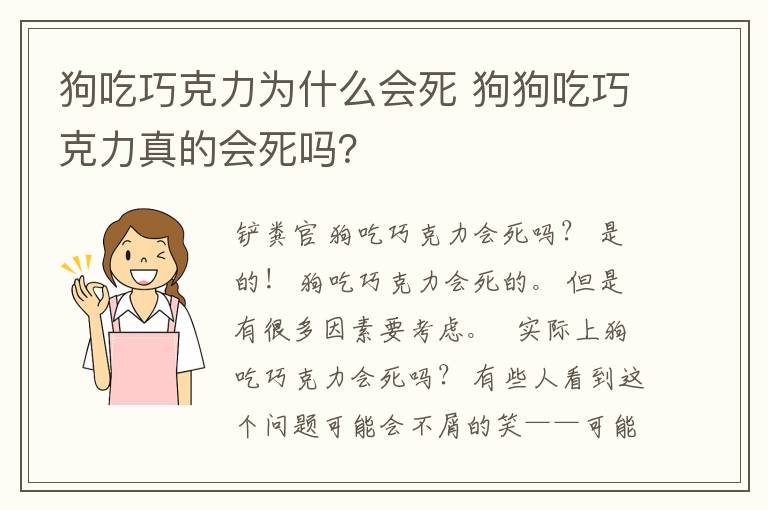 狗吃巧克力为什么会死 狗狗吃巧克力真的会死吗?