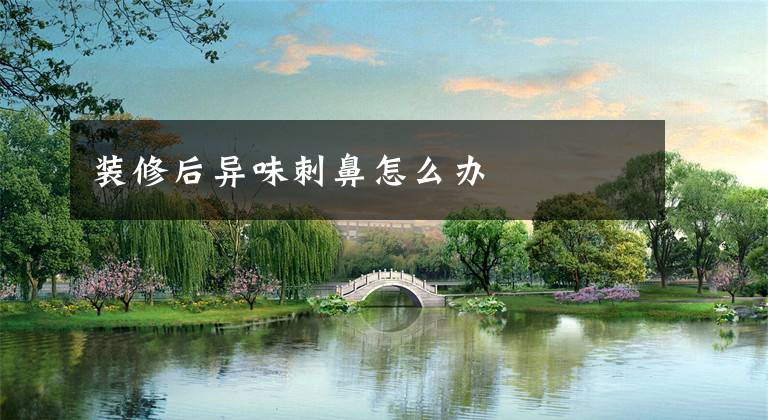 装修后异味刺鼻怎么办