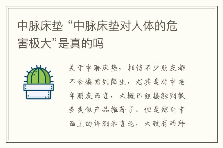 中脉床垫 “中脉床垫对人体的危害极大”是真的吗