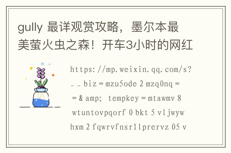 gully 最详观赏攻略,墨尔本最美萤火虫之森!开车3小时的网红景点!