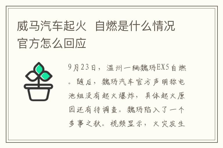 威马汽车起火 自燃是什么情况官方怎么回应