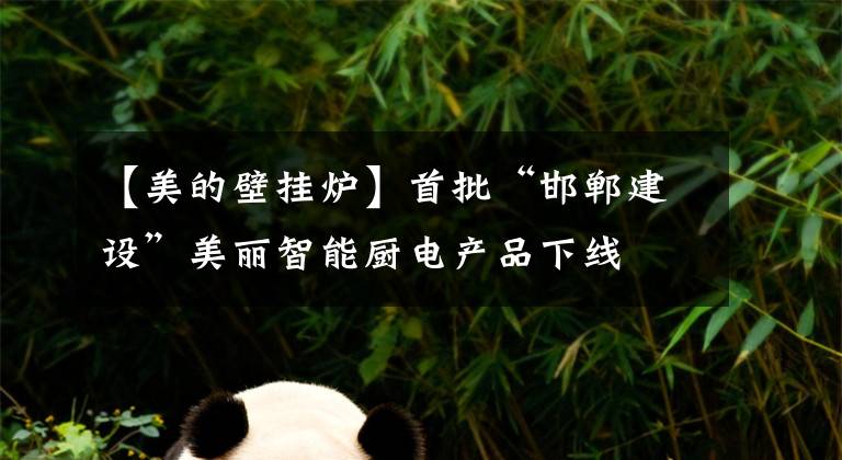 【美的壁挂炉】首批“邯郸建设”美丽智能厨电产品下线