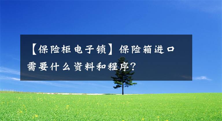 【保险柜电子锁】保险箱进口需要什么资料和程序?