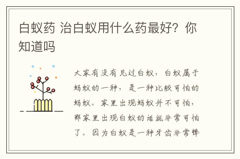 白蚁药 治白蚁用什么药最好?你知道吗