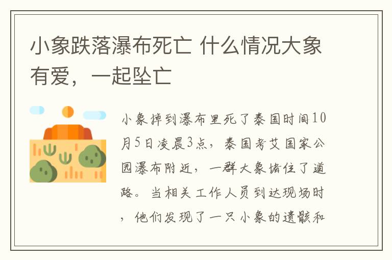 小象跌落瀑布死亡 什么情况大象有爱,一起坠亡