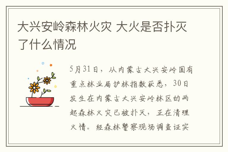 大兴安岭森林火灾 大火是否扑灭了什么情况