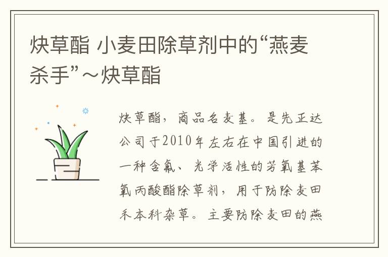 炔草酯 小麦田除草剂中的“燕麦杀手”～炔草酯