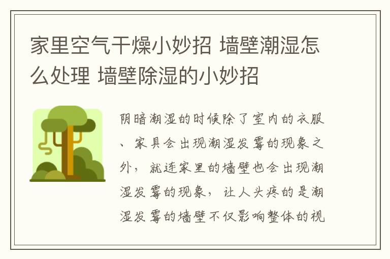 家里空气干燥小妙招 墙壁潮湿怎么处理 墙壁除湿的小妙招