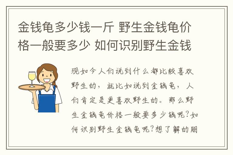 金钱龟多少钱一斤 野生金钱龟价格一般要多少 如何识别野生金钱龟