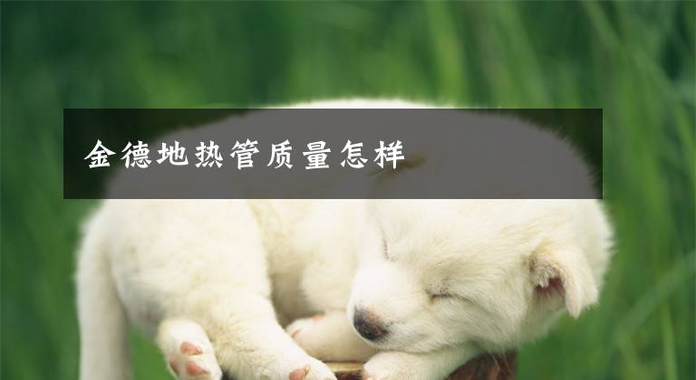 金德地热管质量怎样