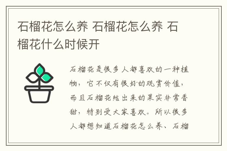 石榴花怎么养 石榴花怎么养 石榴花什么时候开
