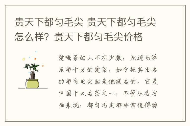 贵天下都匀毛尖 贵天下都匀毛尖怎么样?贵天下都匀毛尖价格