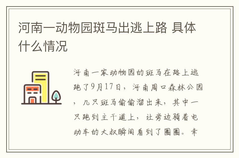 河南一动物园斑马出逃上路 具体什么情况