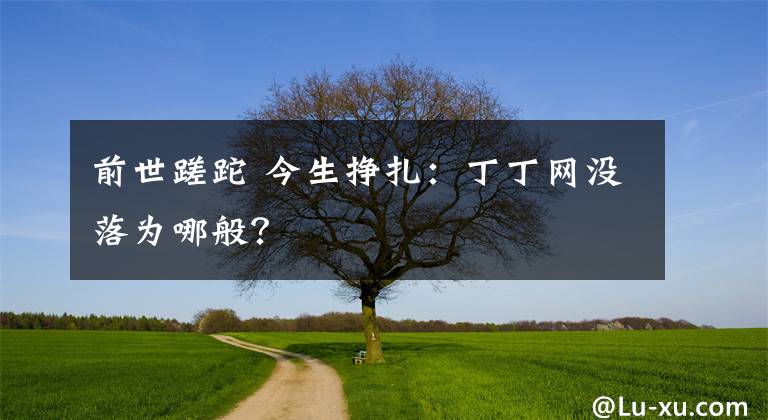 前世蹉跎 今生挣扎：丁丁网没落为哪般？