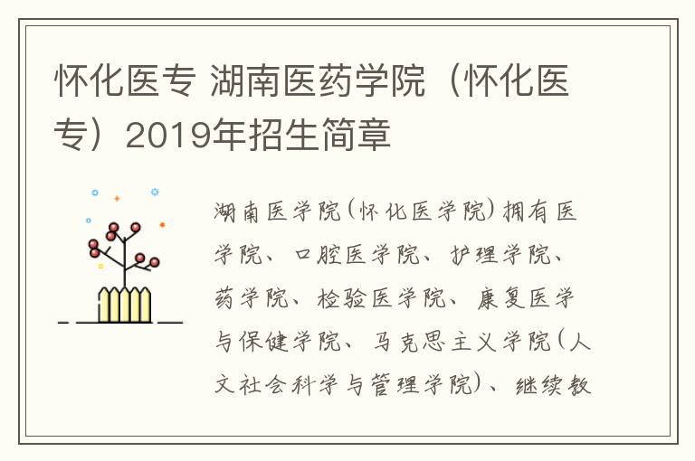 怀化医专 湖南医药学院(怀化医专)2019年招生简章