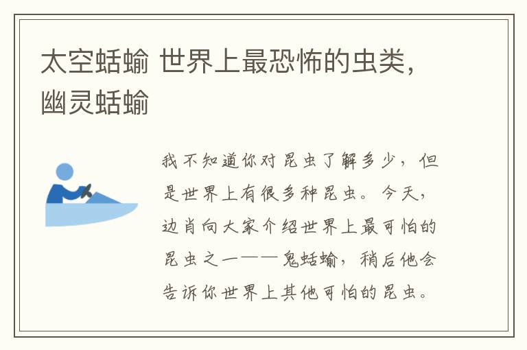 太空蛞蝓 世界上最恐怖的虫类,幽灵蛞蝓