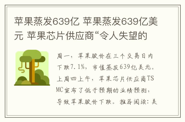 苹果蒸发639亿 苹果蒸发639亿美元 苹果芯片供应商“令人失望的业绩预期”引发股价下跌