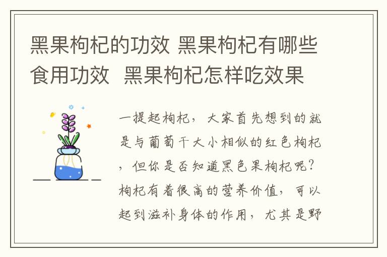 黑果枸杞的功效 黑果枸杞有哪些食用功效 黑果枸杞怎样吃效果更佳