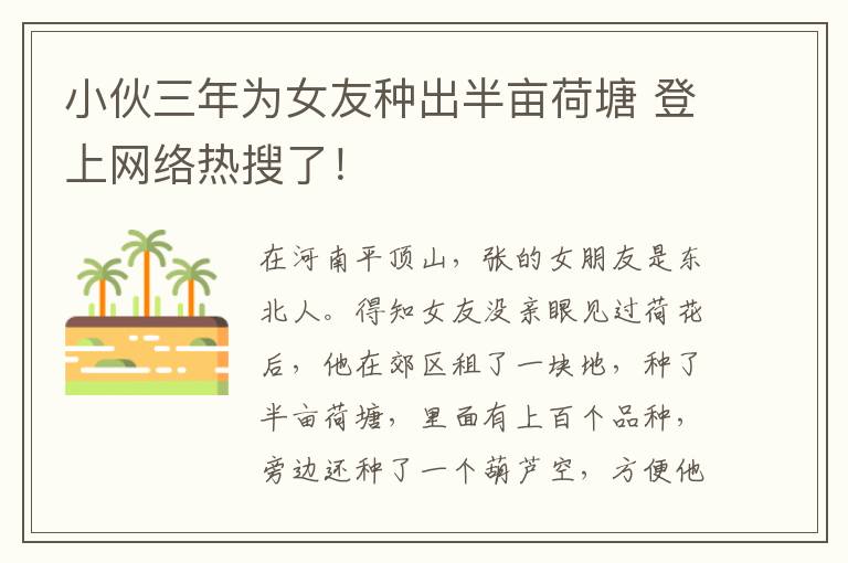 小伙三年为女友种出半亩荷塘 登上网络热搜了！