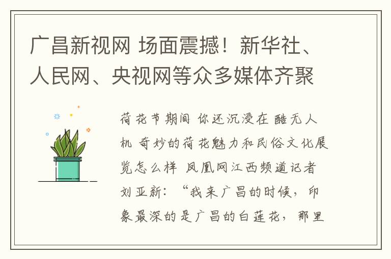 广昌新视网 场面震撼!新华社、人民网、央视网等众多媒体齐聚广昌,探寻“白莲之乡”魅力...