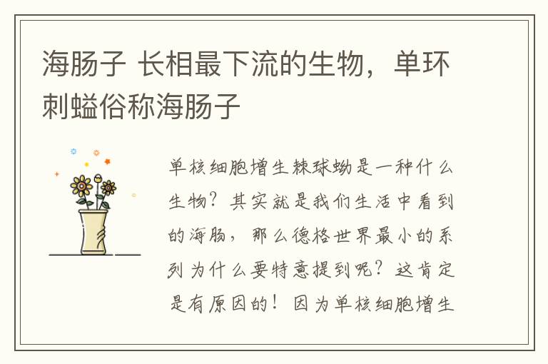 海肠子 长相最下流的生物，单环刺螠俗称海肠子