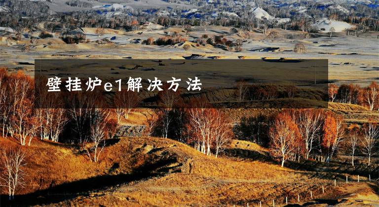 壁挂炉e1解决方法