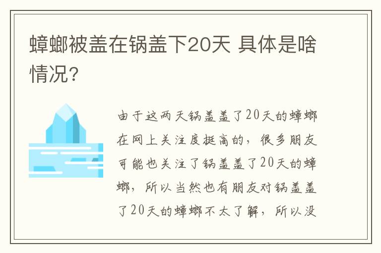 蟑螂被盖在锅盖下20天 具体是啥情况?