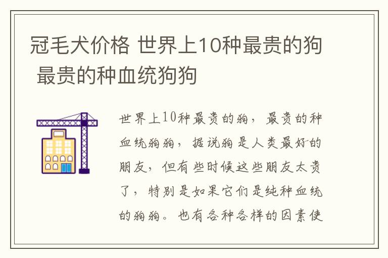 冠毛犬价格 世界上10种最贵的狗 最贵的种血统狗狗