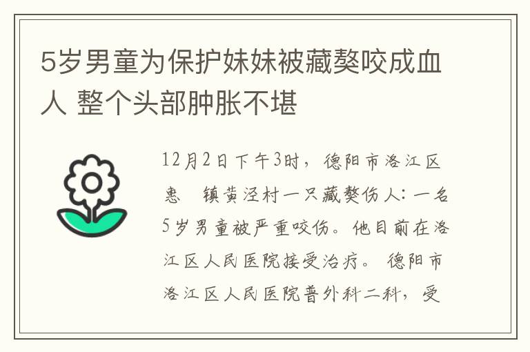 5岁男童为保护妹妹被藏獒咬成血人 整个头部肿胀不堪