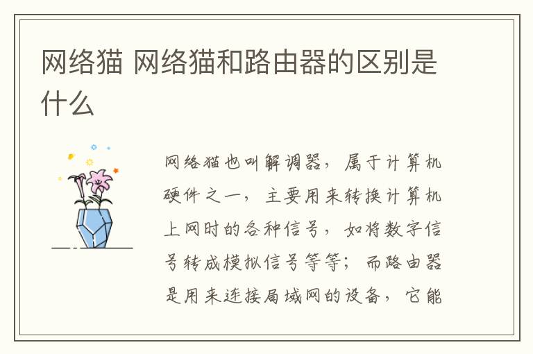 网络猫 网络猫和路由器的区别是什么
