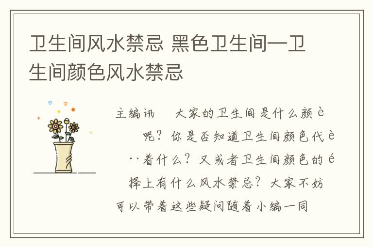 卫生间风水禁忌 黑色卫生间—卫生间颜色风水禁忌