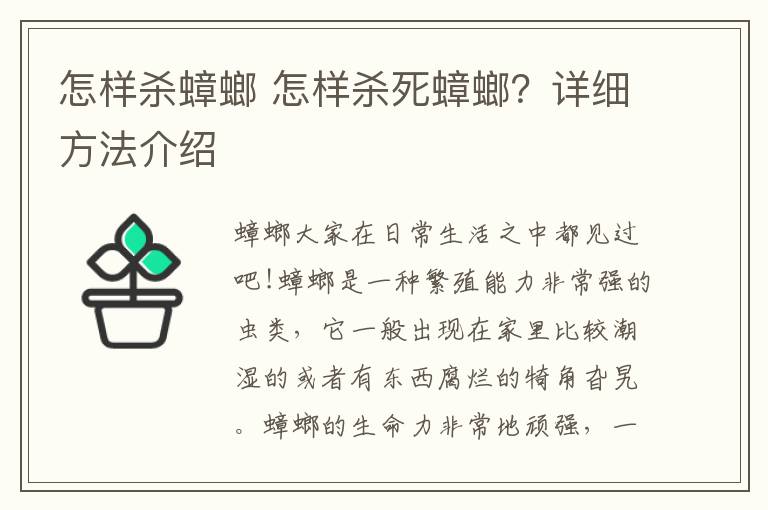 怎样杀蟑螂 怎样杀死蟑螂?详细方法介绍