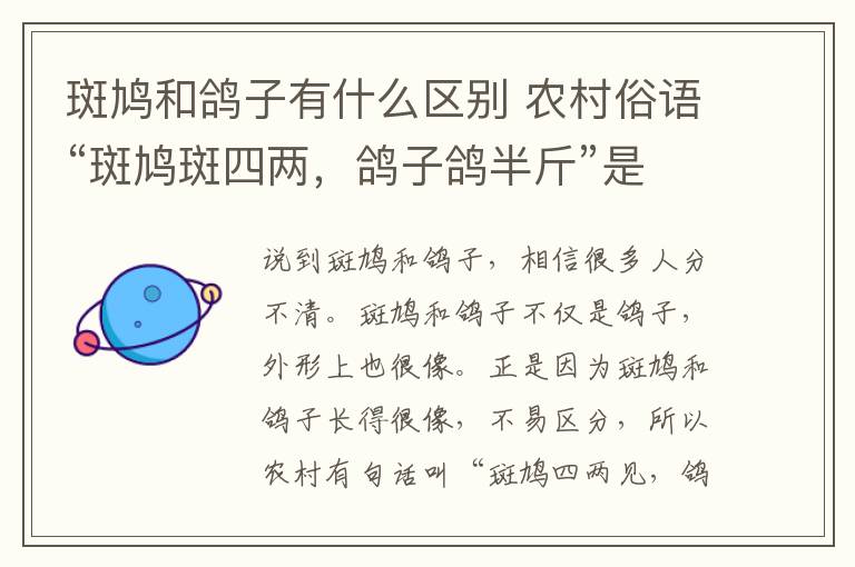 斑鸠和鸽子有什么区别 农村俗语“斑鸠斑四两,鸽子鸽半斤”是什么意思,有没有道理