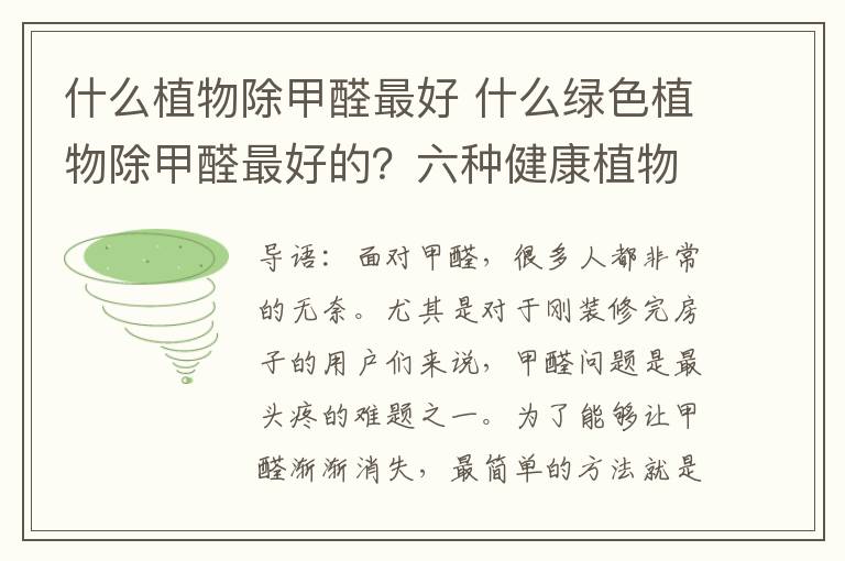 什么植物除甲醛最好 什么绿色植物除甲醛最好的?六种健康植物推荐