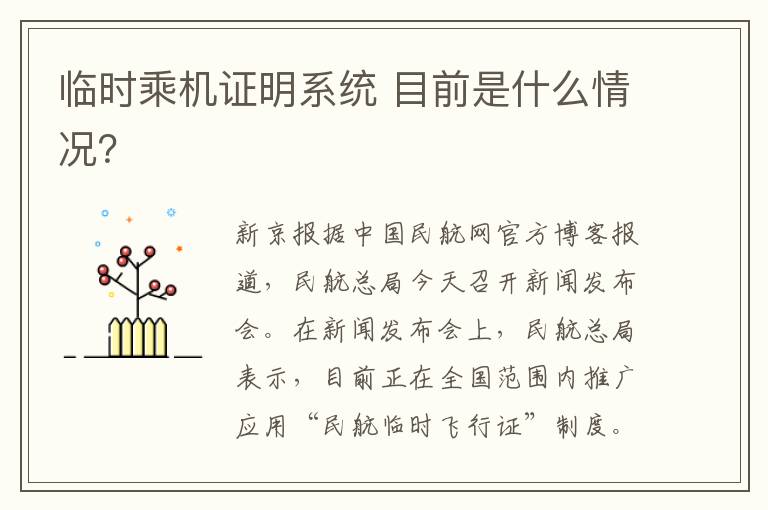 临时乘机证明系统 目前是什么情况?