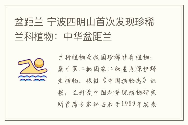 盆距兰 宁波四明山首次发现珍稀兰科植物:中华盆距兰