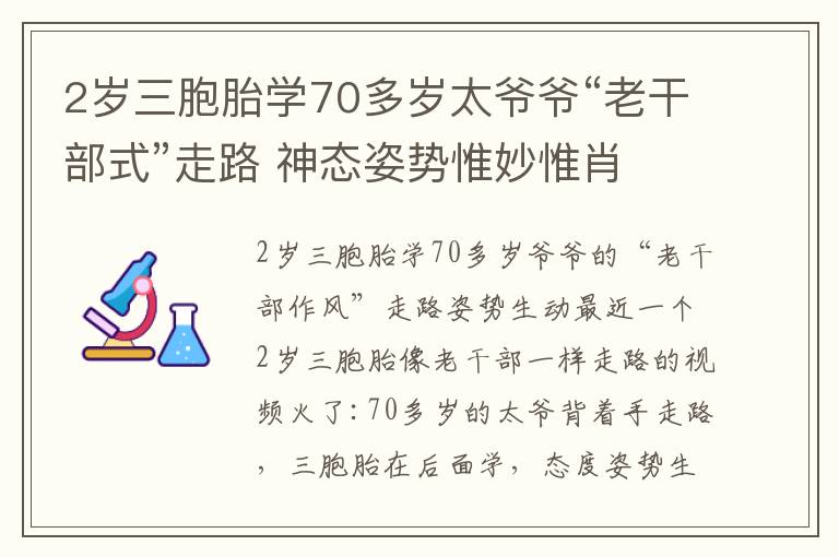2岁三胞胎学70多岁太爷爷“老干部式”走路 神态姿势惟妙惟肖