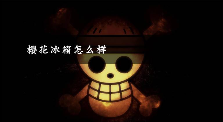 樱花冰箱怎么样