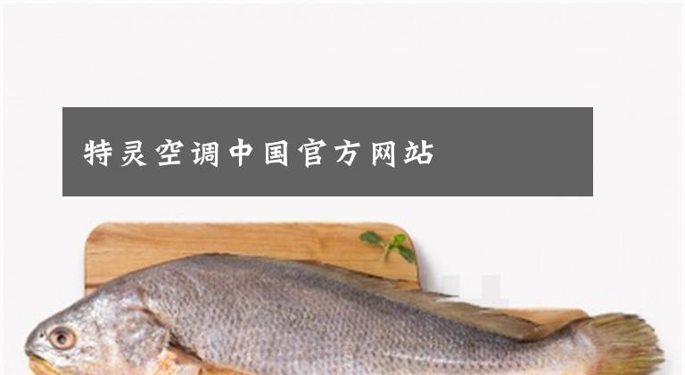 特灵空调中国官方网站