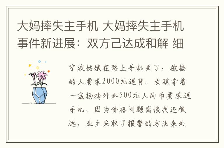 大妈摔失主手机 大妈摔失主手机事件新进展:双方己达成和解 细节不作公开披露