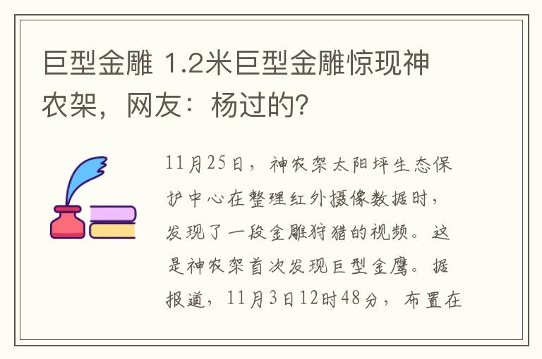 巨型金雕 1.2米巨型金雕惊现神农架,网友:杨过的?