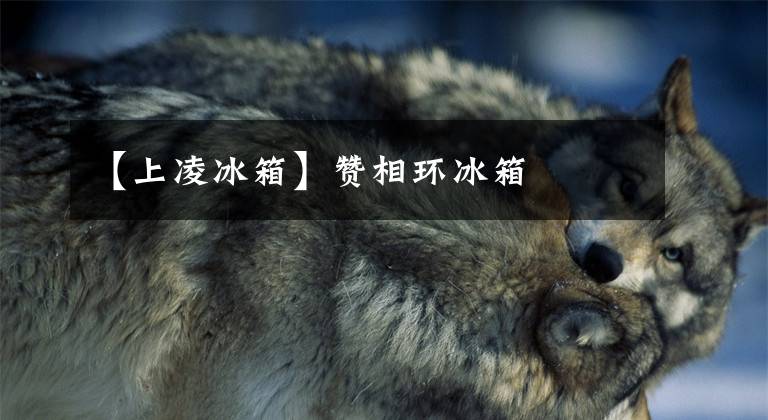 【上凌冰箱】赞相环冰箱