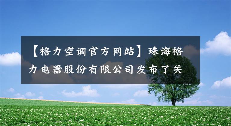 【格力空调官方网站】珠海格力电器股份有限公司发布了关于2022年增加第一届临时股东大会临时提案和2022年召开第一届临时股东大会的补充通知公告。